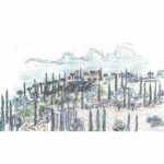 HACIENDA CARMONA (1)