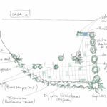 URBANIZACIÓN GRANADA (18)